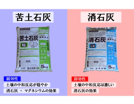 楽天市場 苦 土 石灰 と 消石灰 の 違いの通販