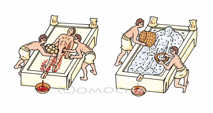 あなたは死んだらミイラになりたい？ 現代のミイラ製造会社お金に関する海外の反応 お金の学校