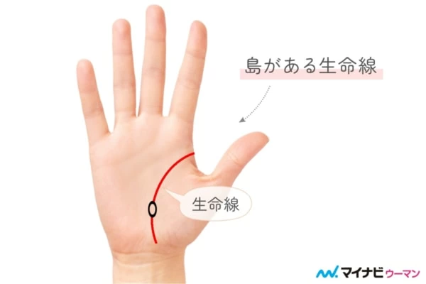 手相占い 「頼みごとを断れず、期待に応えようとして疲れてしまう」人の自信のつけ方卯野たまごの空気を読まず手相を読むmi-mollet ミモレ明日の私へ、小さな一歩！ 2 2