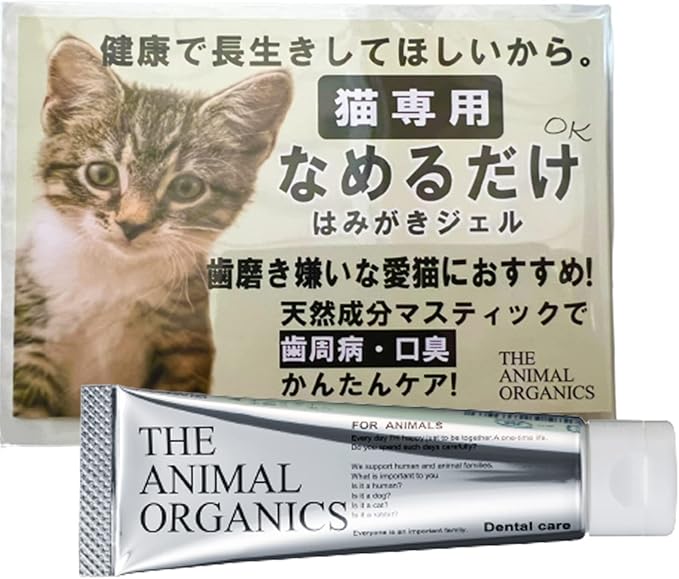 猫の歯磨きのやり方、歯周病や歯石を予防するために正しい方法で！猫との暮らし大百科