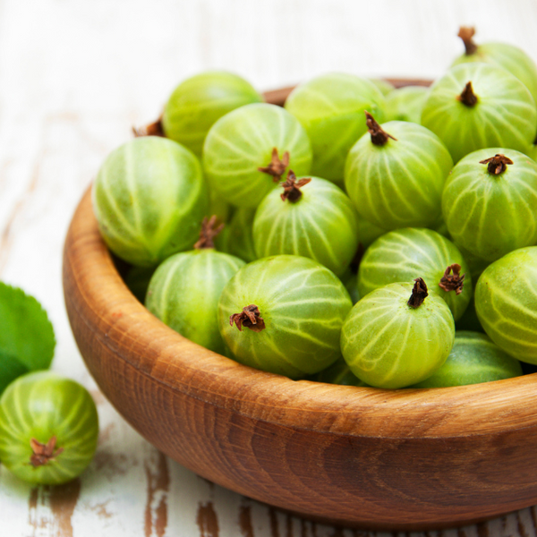 誰でも太れる 体重を増やしたい人が摂るべきサプリメント7選