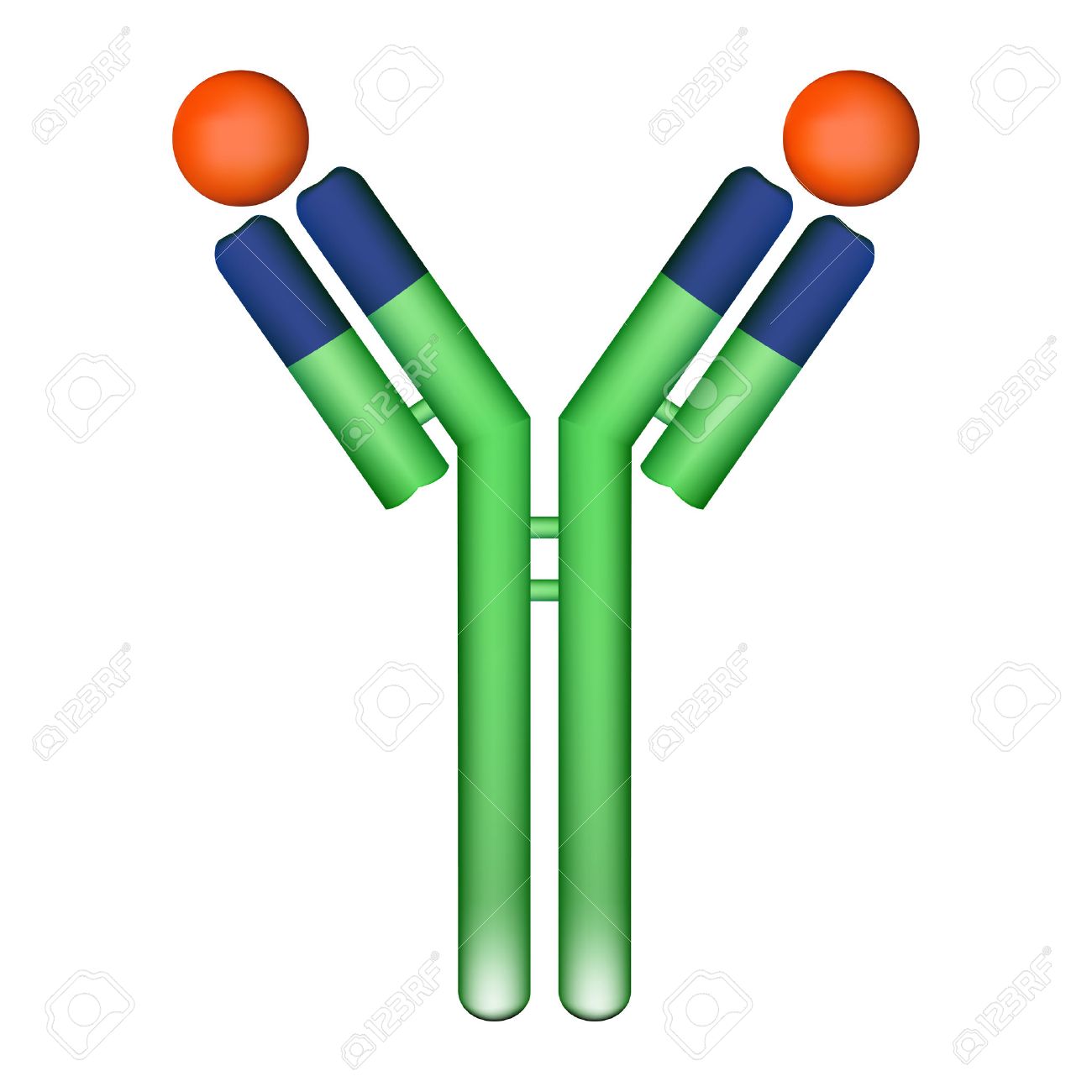 コロナウイルスを追い出す抗体のイメージのフリーイラスト - チコデザ