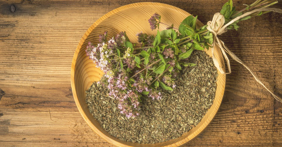 オレガノの育て方種まきでの栽培、挿し木での増やし方は？HORTI by GreenSnap