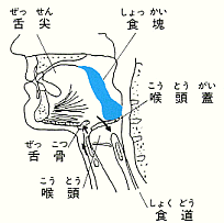 味覚障害の原因と主な症状がん情報サイトAssist