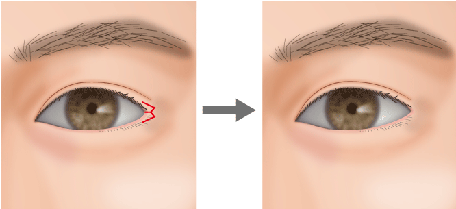 IMP.メンバーの個性が炸裂！ 七者七様のパーソナルな素顔に迫る一問一答カルチャーELLE エル デジタル