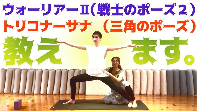 40点を超えるウォーリアーのポーズ3のイラスト素材、ロイヤリティフリーのベクター素材グラフィックスとクリップアート - iStock