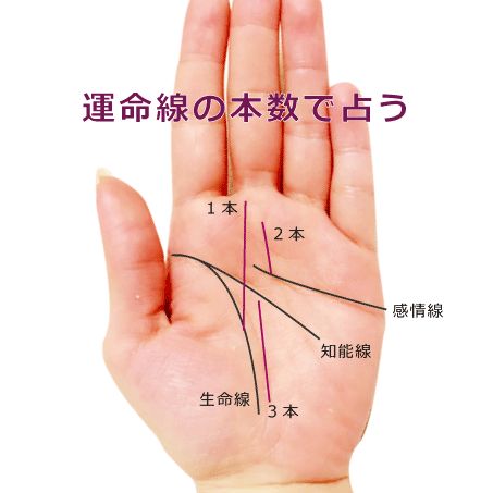 手相の手首線とは？手首に近い線・シワが3本など見方を解説諒設計アーキテクトラーニング