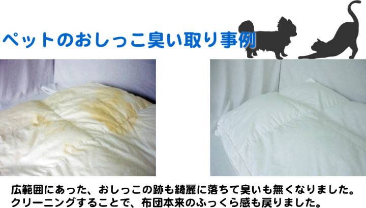 もう焦らない！ 洗えない敷布団におねしょをしてしまった時の対処法 – mofuaオンラインストア