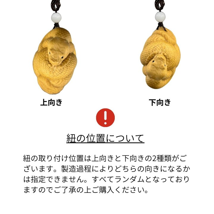 ヘビはなぜ「とぐろ」を巻く？dos today