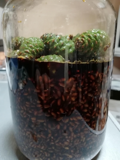 松葉茶☆手作り松葉友の会＠岩泉