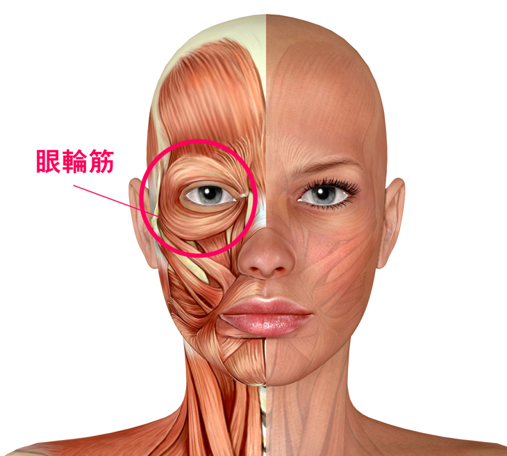 気になりますよね、目のまわりのたるみ >_