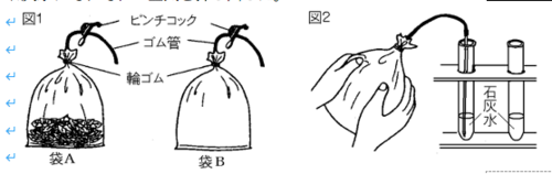 植物の呼吸を確かめる - K's理科実験室 ~K's Science Lab