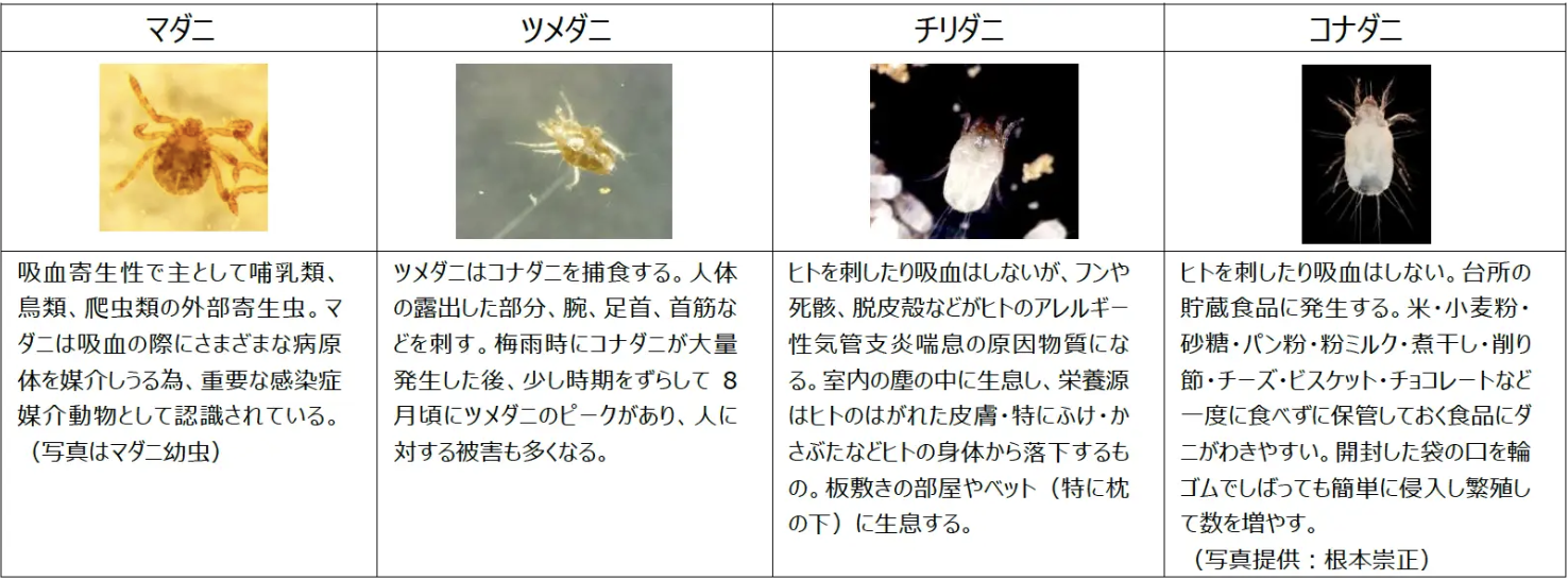 ダニのお話し』吉田貴子 オフィシャルブログ