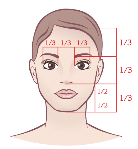 黄金比からの美しい顔、画像処理、フィボナッチ数列 - パソコンＡＲ～山梨県パソコン修理やトラブルを昼も夜も出張解決～