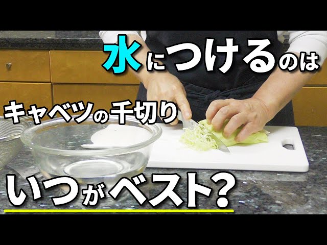 キャベツは洗う必要が無いの？正しい洗い方から保存方法まで紹介 - E・レシピ 1 1ページ