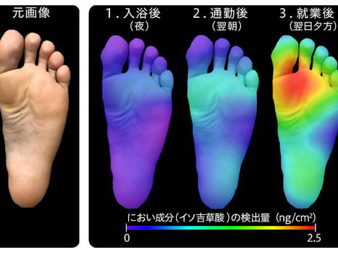 彼女の足が臭いりかべる劇場fypおすすめりかべるカップルカップルあるあるTikTok