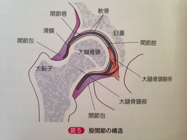 龍が如くグッズまとめ売り 龍が如く セガ まとめ売り 7月1日