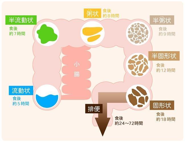 便の色・形状で健康状態が分かる？チェックするポイントとは阪神御影駅前のきのしたクリニック
