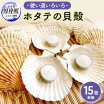 ホタテの貝殻からバイオマスプラスチックJSTORIES