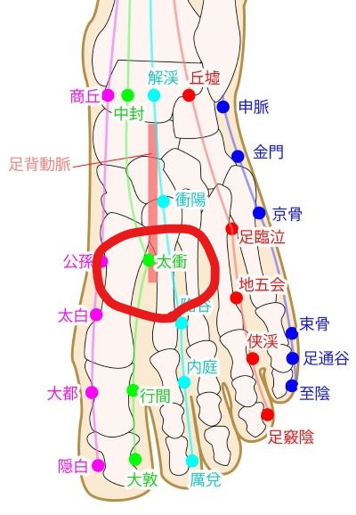 下痢に効くツボ - 鍼灸治療院ほっと・ばらんす鎌ケ谷・船橋・松戸