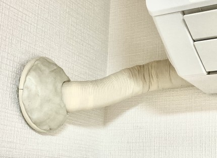 今エアコンからゴキブリが降ってきたのですがこれは何ゴキブリですか？- Yahoo!知恵袋