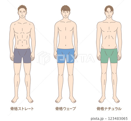 男性の体型の概念図の種類Premiumベクトル素材
