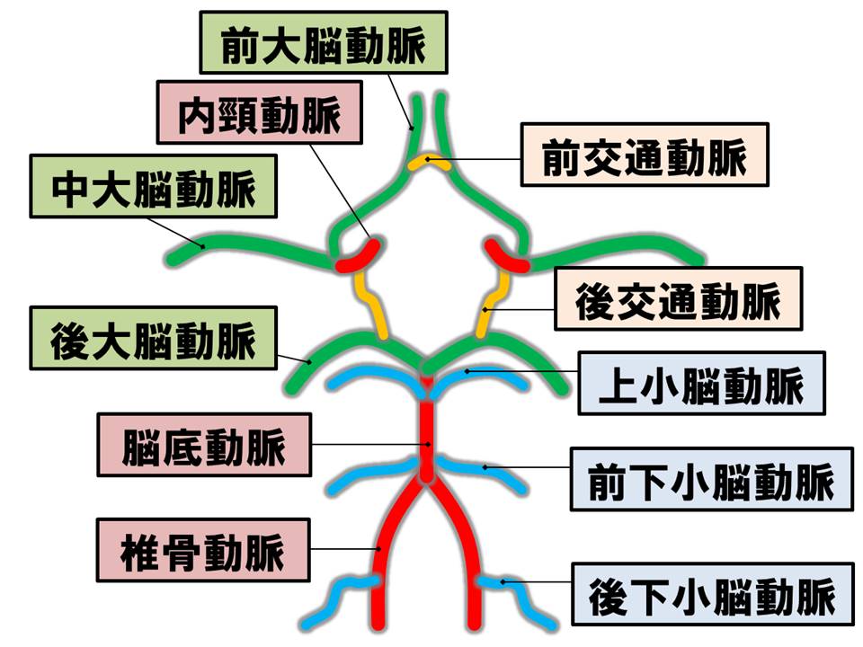 画像診断 脳血管名古屋～春日井の脳神経外科勝川脳神経クリニック