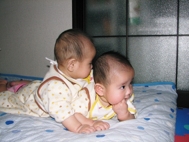 いつから始める？ 赤ちゃんの腹ばい運動 保育士監修トモニテ