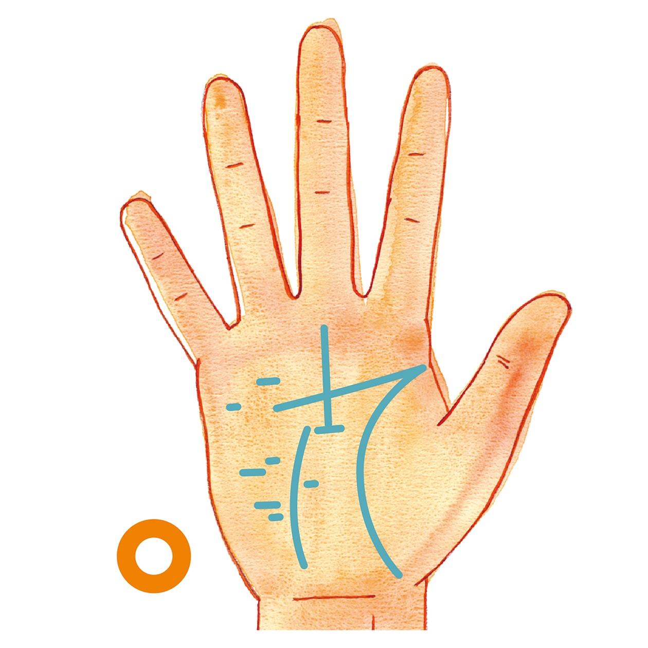 手相占いの基本！ 意味や見方＆強運手相を占い師が解説「マイナビウーマン」