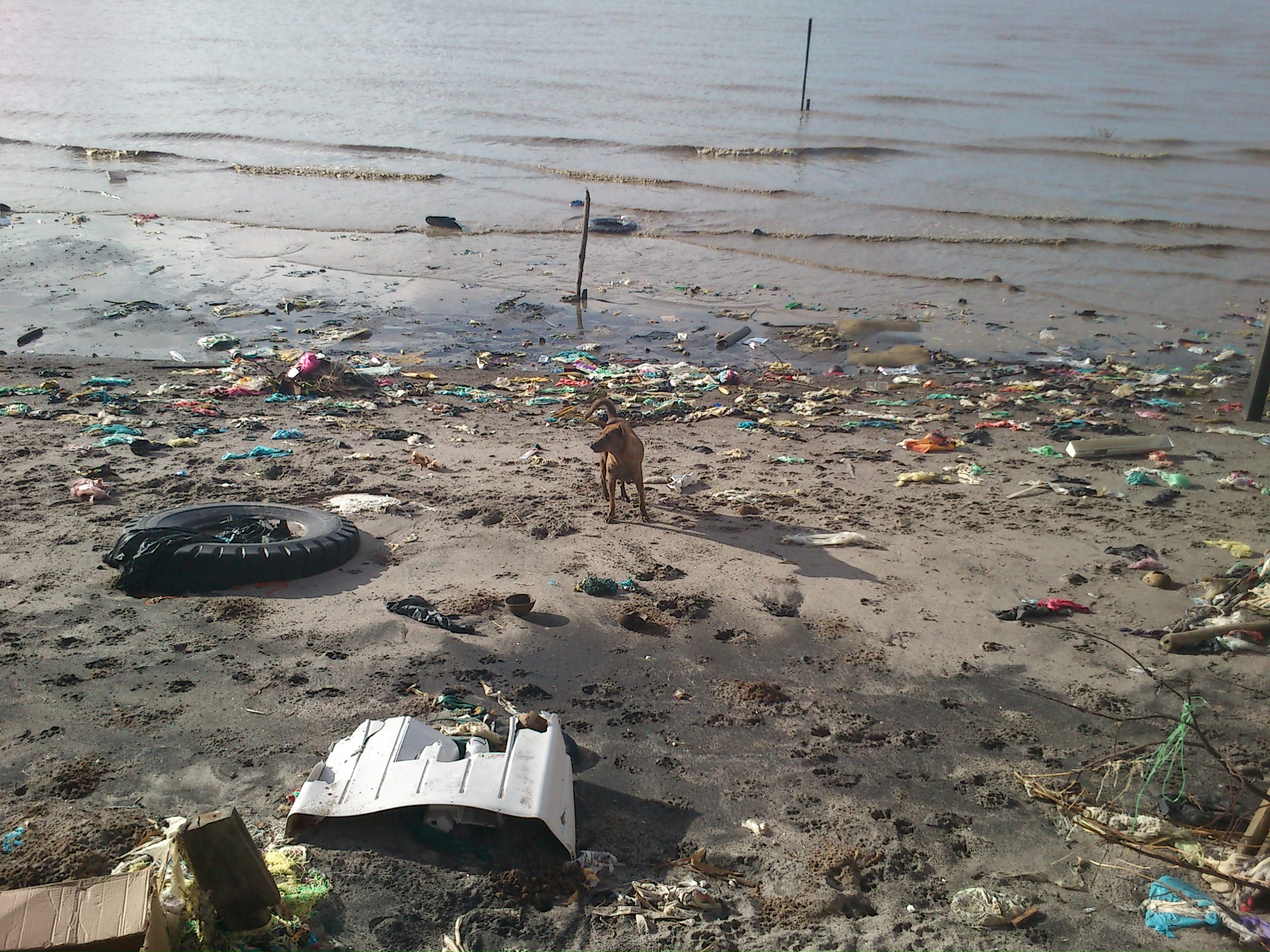 プラスチック汚染とは 第１〜２章「海洋プラスチックごみ問題」「容器包装プラスチックごみの問題」 – HumanNatures ヒューマン・ネイチャーズ