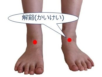 ゆうメール 送料無料 足裏 足ツボ プリント ソックス ツボ 押し スティック付き 足つぼ くつした 靴下 反射区 サイズ23〜26センチ中国語簡易説明書付き : Michelle Noel - 通販 - Yahoo!ショッピング