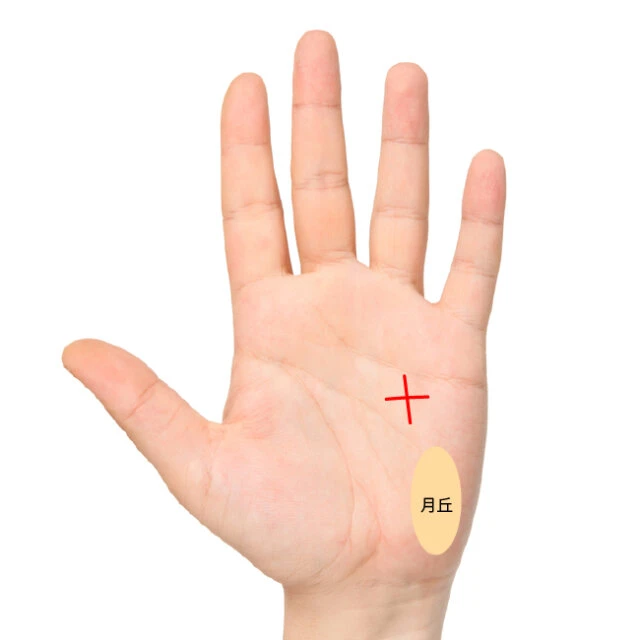 手相の観方・手首付近に現れる線 御先祖様からの護り手相占い師コトノハ美樹のブログ 日日是ほんとに好日