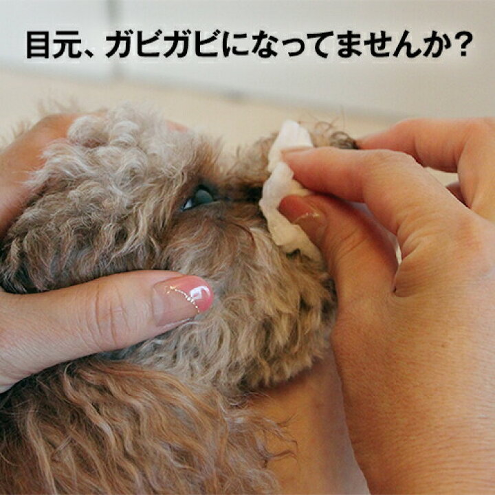 目やにが白い、ネバネバする 原因は？自分でできる対処法を紹介！病気スコープ