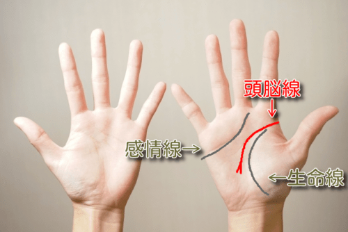 手相『知能線・頭脳線』を学ぼう！2股に枝分かれ？短いとおバカ？ 完全図解- zired