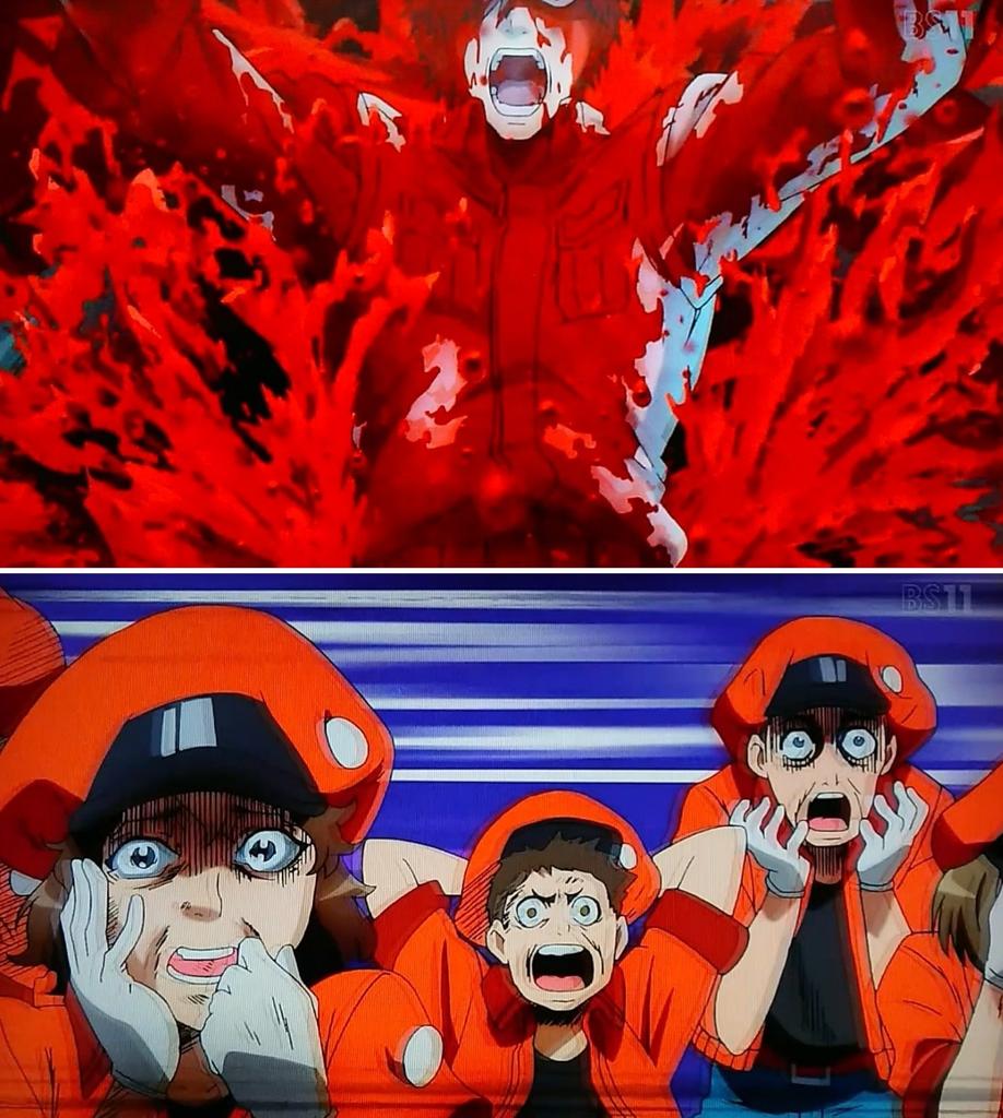 はたらく細胞」 清水茜インタビュー3 3- コミックナタリー 特集・インタビュ