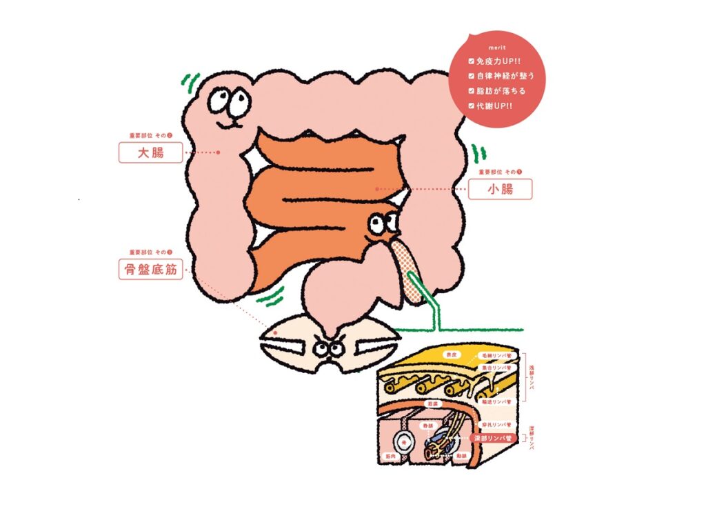 オイルマッサージ お腹の写真素材写真素材なら「写真AC」無料 フリー ダウンロードOK