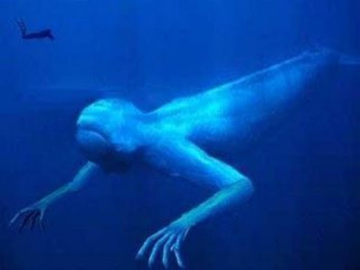 沈んだ飛行機とか船、特にデカいのはマジで怖い D: : r thalassophobia