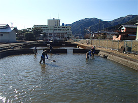 外来珪藻ハザードマップ作成の手引き
