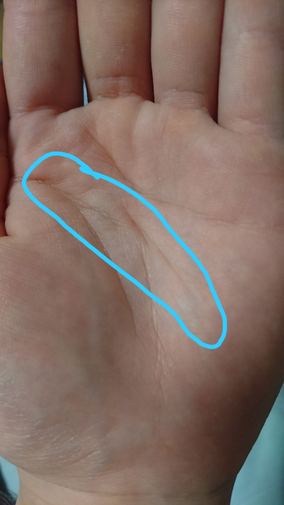 手相 運命線が切り替わる・2本以上ある場合好きに生きる