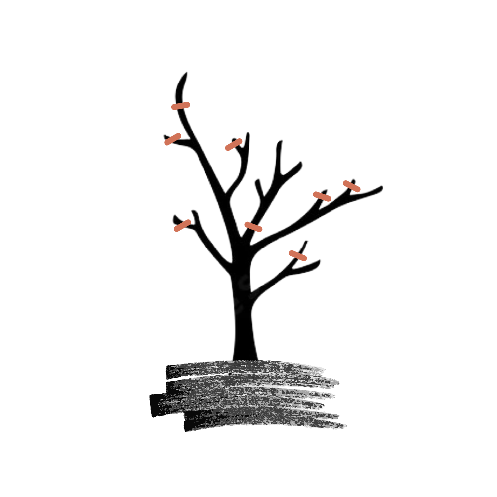 家庭菜園で金柑を育てるコツ！土作りから収穫までを徹底解説