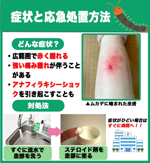 ムカデ カメムシ駆除 ピレキラ 虫よけパウダー 550g×3本 害虫侵入防止 粉末殺虫剤 : 快適クラブ.ｎｅｔ - 通販 - Yahoo!ショッピング