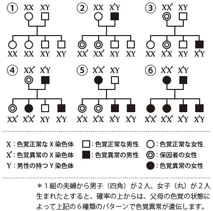 前編 色の見え方は人それぞれ ①伝わる配色とは – つながるデザイン研究所