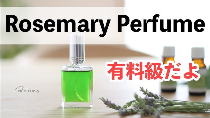 ローズマリーとは？種類や効能・精油の活用方法を紹介アロマテラピ