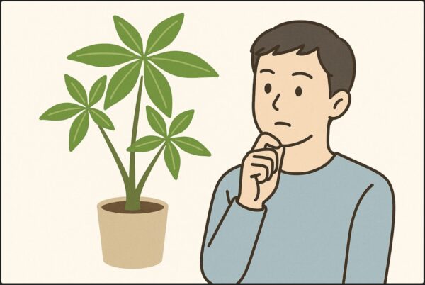 大きく育てたくない！観葉植物を鉢増ししないためのお手入れ方法とは？🍀GreenSnap グリーンスナップ