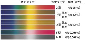 小学生の色覚異常：学校生活や家庭での対応法とサポートのコツ子どもの目のケア伊丹市 まい眼科クリニック