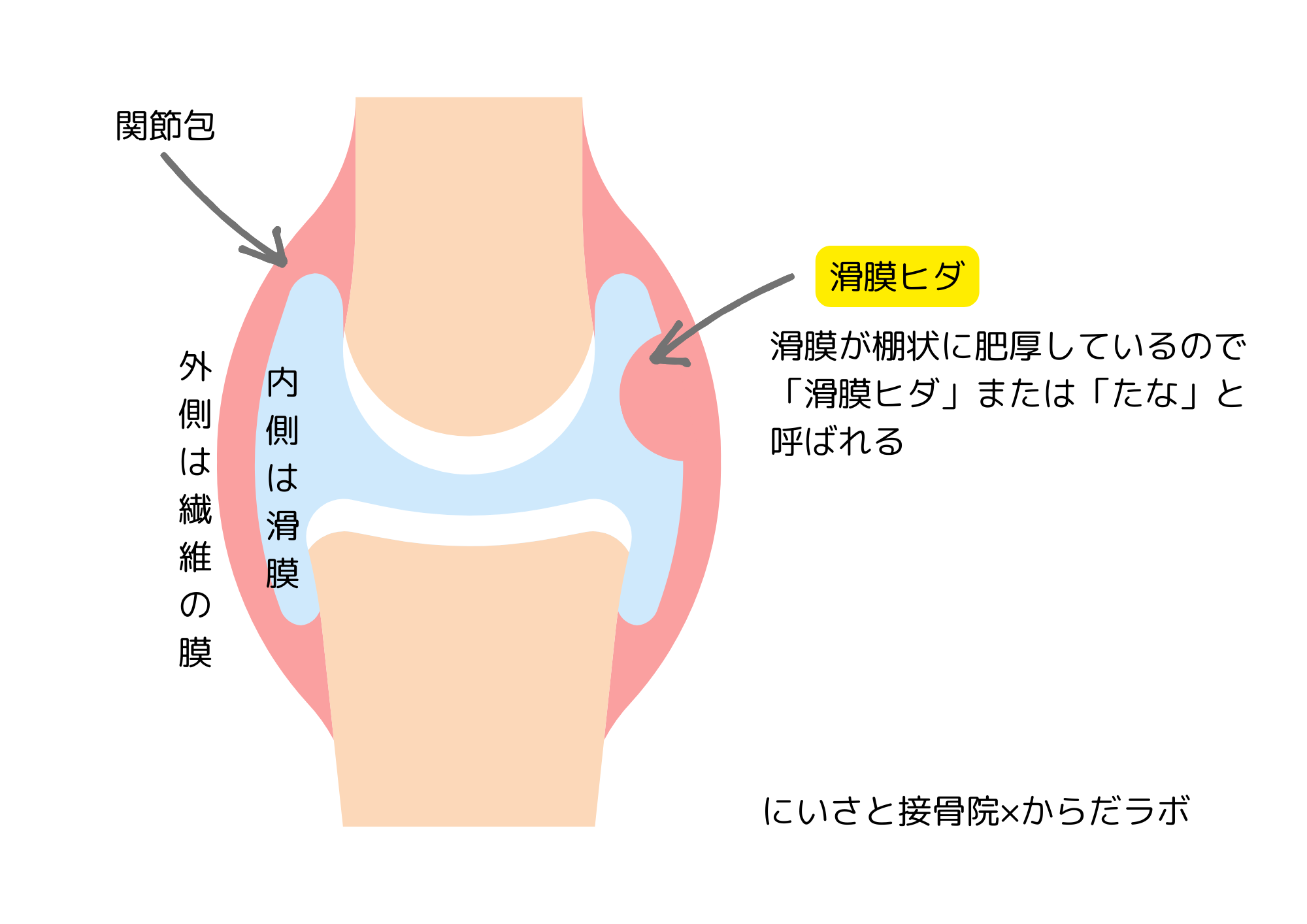 マファルディーネ フリル状パスタの写真素材76531693- PIXTA