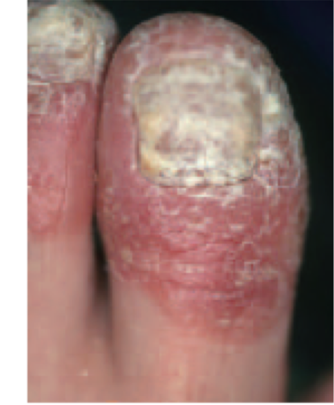 立ち耳高田教授の形成外科外来松戸の皮膚科・形成外科・美容皮膚科ならシャルムクリニック