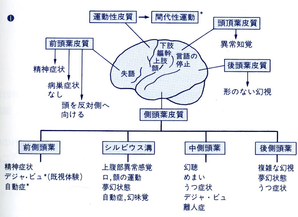 チアノーゼ」の546点のロイヤリティフリー画像、写真素材、絵Shutterstock