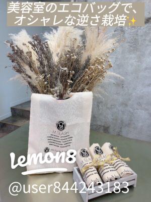 逆さま栽培 Upside down plantingいかチャンネル inフロリダ