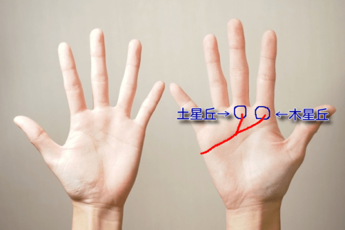 ますかけ線とは？あったら大強運？特徴別の意味と見方6選！│資格のキャリカレ